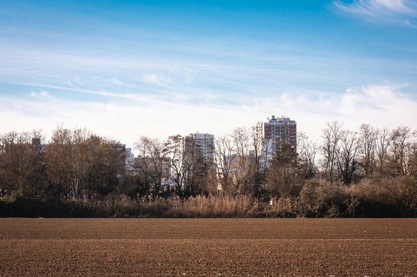 What Are the Challenges of Developing Real Estate on Brownfield Sites?